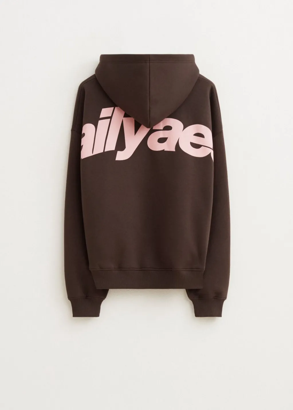 Sweaters En Hoodies<The Sting Boxy hoodie met backprint bruin