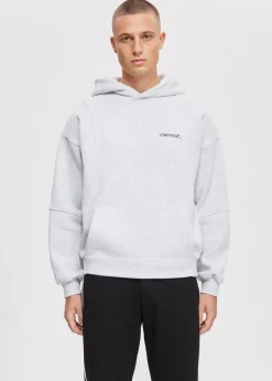 Sweaters En Hoodies<The Sting Boxy hoodie met merk grijs, licht melee