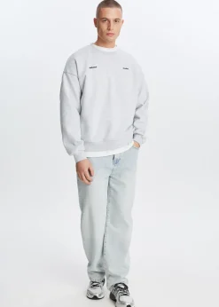 Sweaters En Hoodies<The Sting Boxy sweater met print grijs, licht melee
