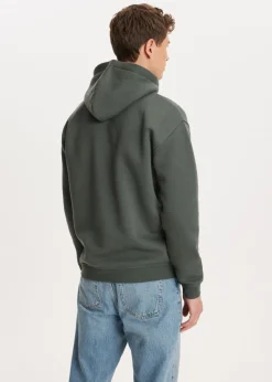Basics|Sweaters En Hoodies<The Sting Brushed hoodie groen, grijs