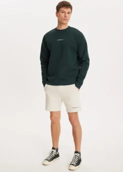 Sweaters En Hoodies<The Sting Brushed written sweater groen, oceaan
