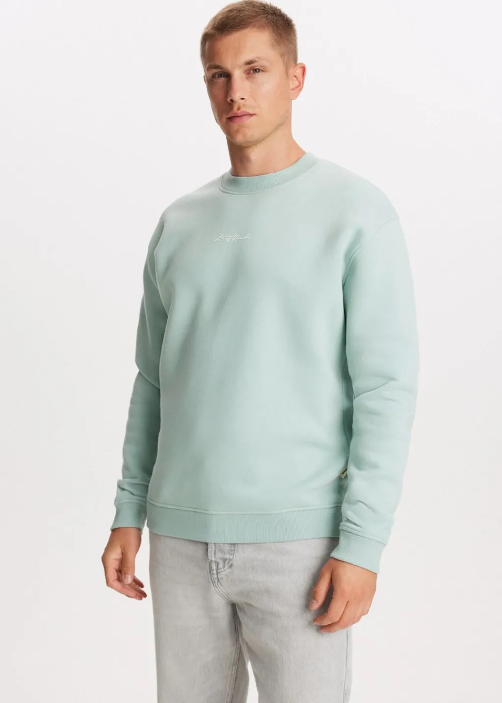 Sweaters En Hoodies<The Sting Brushed written sweater groen, steen