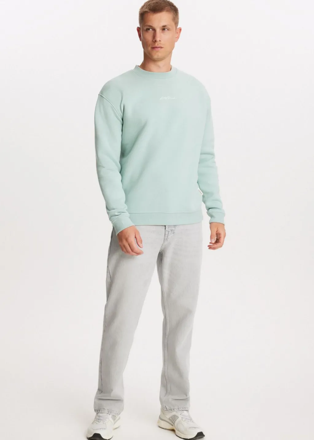 Sweaters En Hoodies<The Sting Brushed written sweater groen, steen