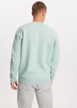 Sweaters En Hoodies<The Sting Brushed written sweater groen, steen