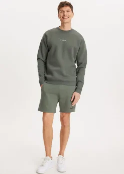Sweaters En Hoodies<The Sting Brushed written sweater groen, olijf