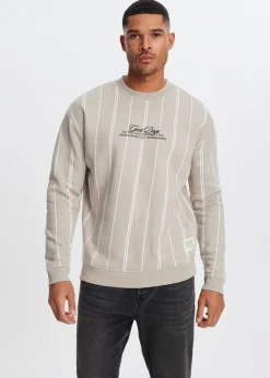 Sweaters En Hoodies<The Sting Gestreepte sweater taupe, light