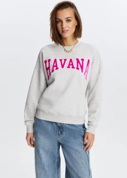 Sweaters En Hoodies<The Sting Havana velvet sweater grijs gemêleerd