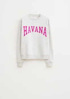 Sweaters En Hoodies<The Sting Havana velvet sweater grijs gemêleerd