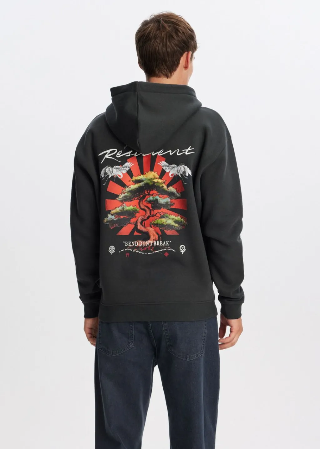 Sweaters En Hoodies<The Sting Hoodie met print bonsai antraciet