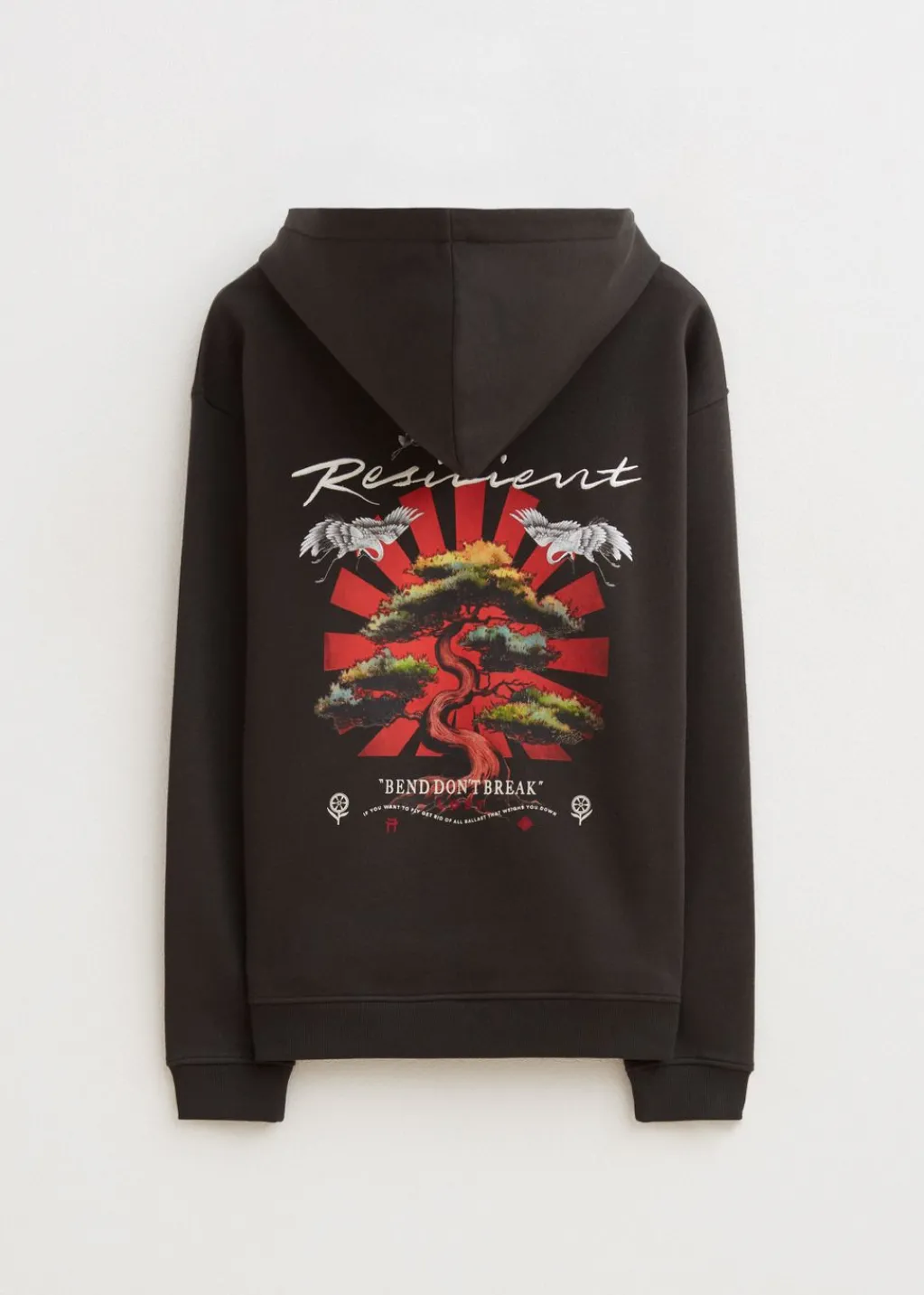 Sweaters En Hoodies<The Sting Hoodie met print bonsai antraciet