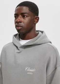 Sweaters En Hoodies<The Sting Oversized hoodie grijs