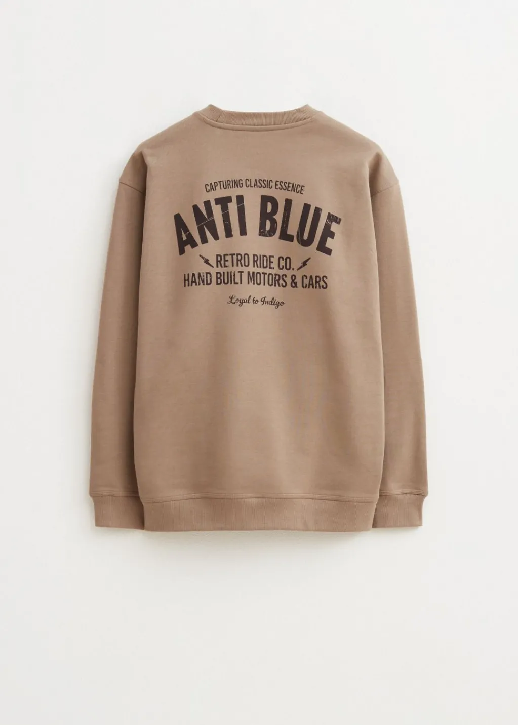 Sweaters En Hoodies<The Sting Oversized sweater retro ride lichtbruin