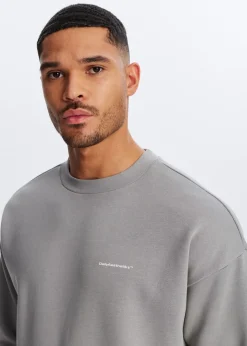 Sweaters En Hoodies<The Sting Oversized trademark sweater middengrijs