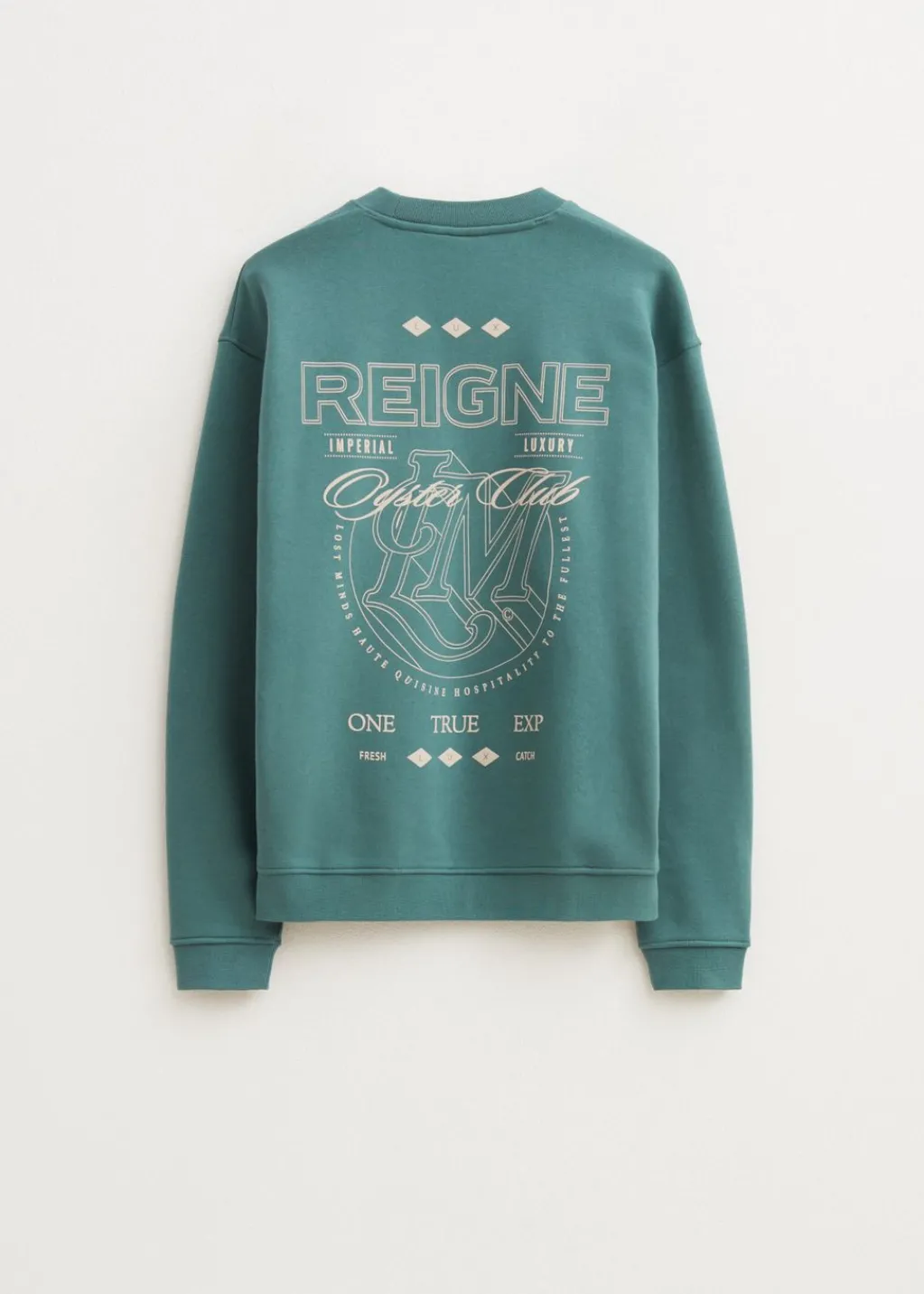 Sweaters En Hoodies<The Sting Sweater met print reigne petrol