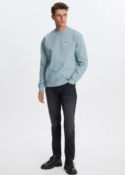 Sweaters En Hoodies<The Sting Sweater met print wereldbol blauw, ijs