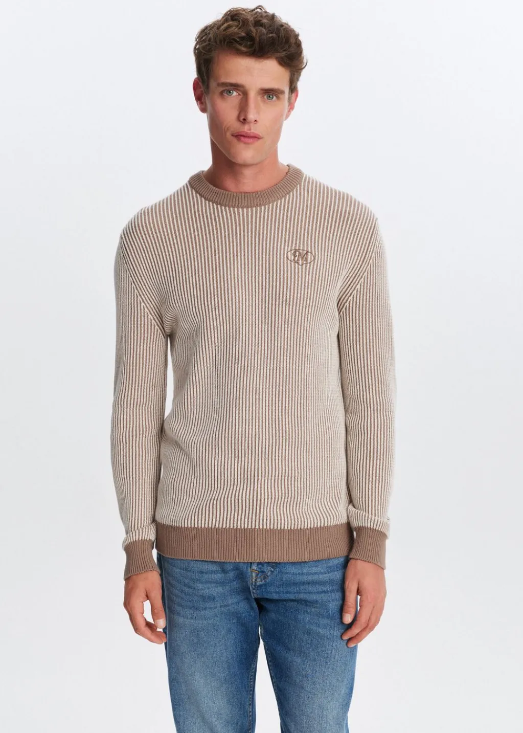 Truien En Vesten<The Sting Trui met logo taupe